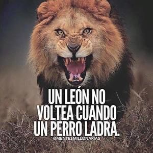 Meet your Posher, Yina